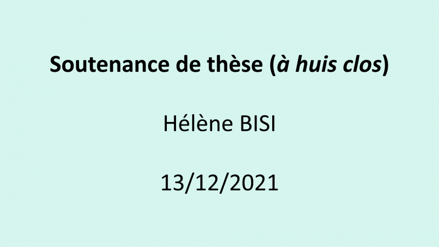 SoutenanceTheseBISI